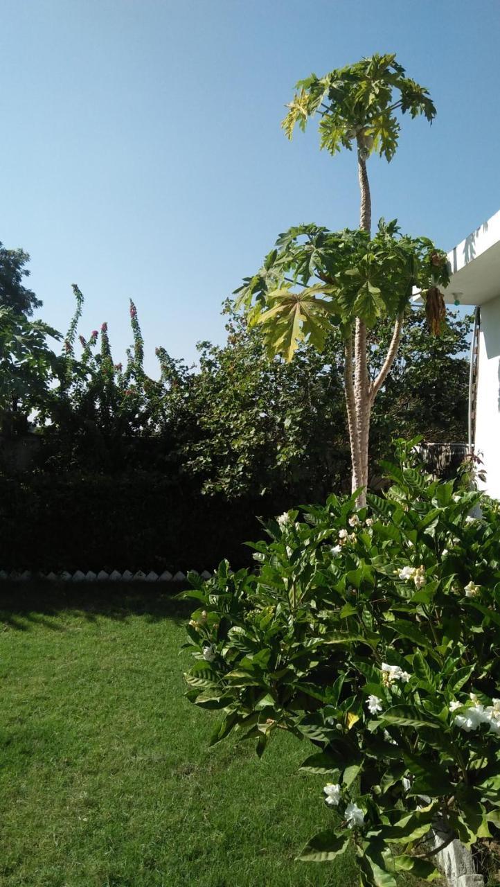 Prem Home Stay Khajuraho Ngoại thất bức ảnh